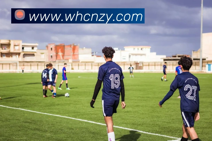 数据防护可视化